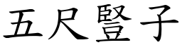 五尺豎子 (楷體矢量字庫)