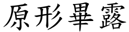 原形畢露 (楷體矢量字庫)