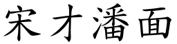 宋才潘面 (楷體矢量字庫)