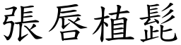 張唇植髭 (楷體矢量字庫)