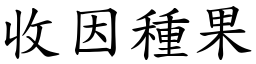 收因種果 (楷體矢量字庫)