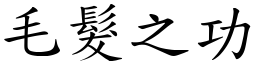 毛髮之功 (楷體矢量字庫)