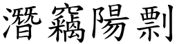 潛竊陽剽 (楷體矢量字庫)