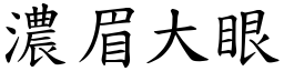 濃眉大眼 (楷體矢量字庫)