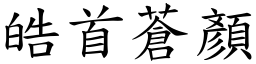 皓首蒼顏 (楷體矢量字庫)