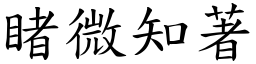 睹微知著 (楷體矢量字庫)