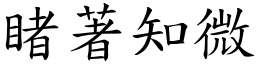 睹著知微 (楷體矢量字庫)
