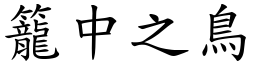籠中之鳥 (楷體矢量字庫)
