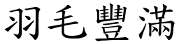 羽毛豐滿 (楷體矢量字庫)