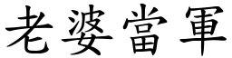 老婆當軍 (楷體矢量字庫)