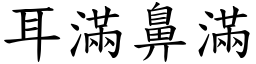 耳滿鼻滿 (楷體矢量字庫)