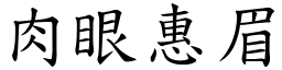 肉眼惠眉 (楷體矢量字庫)