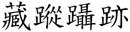 藏蹤躡跡 (楷體矢量字庫)