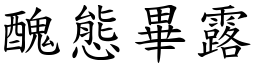 醜態畢露 (楷體矢量字庫)