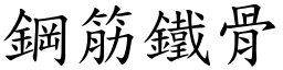 鋼筋鐵骨 (楷體矢量字庫)
