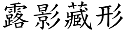 露影藏形 (楷體矢量字庫)