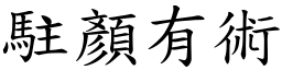 駐顏有術 (楷體矢量字庫)