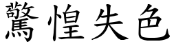 驚惶失色 (楷體矢量字庫)
