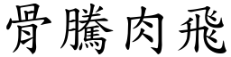 骨騰肉飛 (楷體矢量字庫)