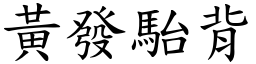 黃發駘背 (楷體矢量字庫)