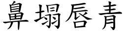 鼻塌唇青 (楷體矢量字庫)