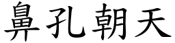 鼻孔朝天 (楷體矢量字庫)