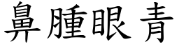 鼻腫眼青 (楷體矢量字庫)