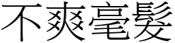 不爽毫髮 (宋體矢量字庫)