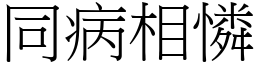 同病相憐 (宋體矢量字庫)