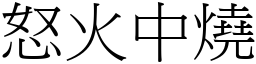 怒火中燒 (宋體矢量字庫)