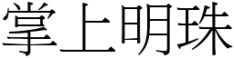 掌上明珠 (宋體矢量字庫)