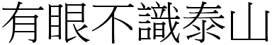 有眼不識泰山 (宋體矢量字庫)