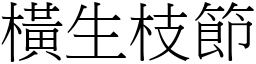 橫生枝節 (宋體矢量字庫)