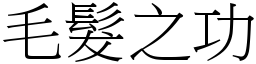 毛髮之功 (宋體矢量字庫)
