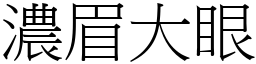 濃眉大眼 (宋體矢量字庫)