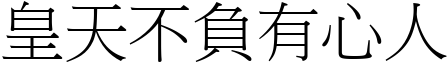 皇天不負有心人 (宋體矢量字庫)
