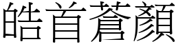 皓首蒼顏 (宋體矢量字庫)