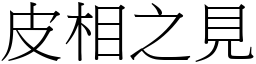 皮相之見 (宋體矢量字庫)