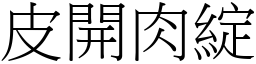 皮開肉綻 (宋體矢量字庫)