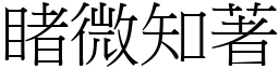 睹微知著 (宋體矢量字庫)