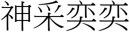 神采奕奕 (宋體矢量字庫)