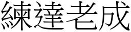 練達老成 (宋體矢量字庫)