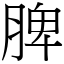 脾 (宋體矢量字庫)