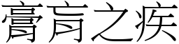 膏肓之疾 (宋體矢量字庫)