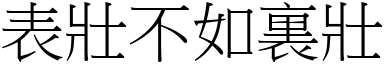 表壯不如裏壯 (宋體矢量字庫)