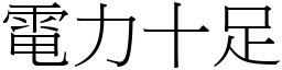 電力十足 (宋體矢量字庫)