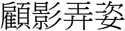 顧影弄姿 (宋體矢量字庫)