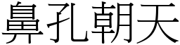 鼻孔朝天 (宋體矢量字庫)